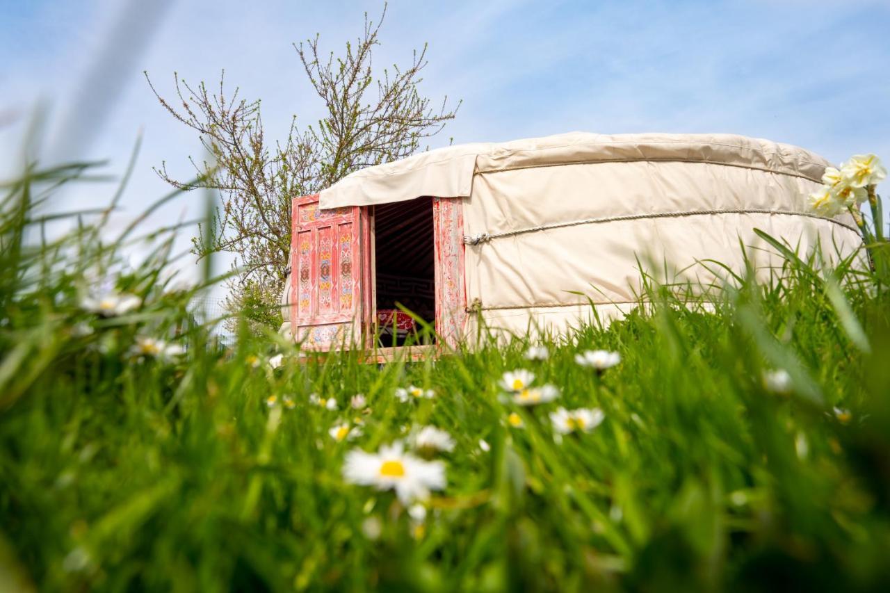 Logements Insolites A La Ferme - Yourte, Kota Ou Pod Farbus Dış mekan fotoğraf